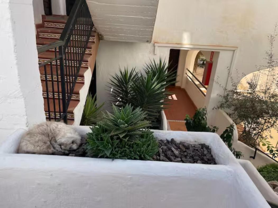 Pueblo Evita 2 Benalmádena Exterior foto